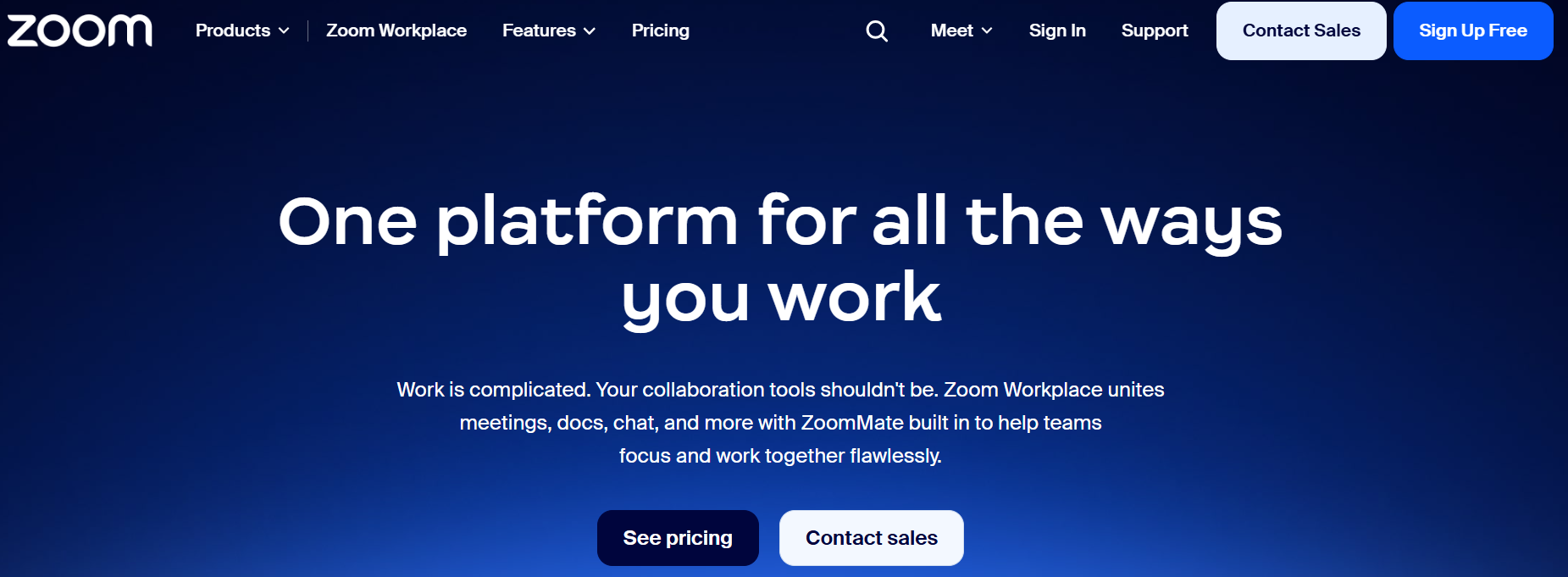 Zoom Workplace